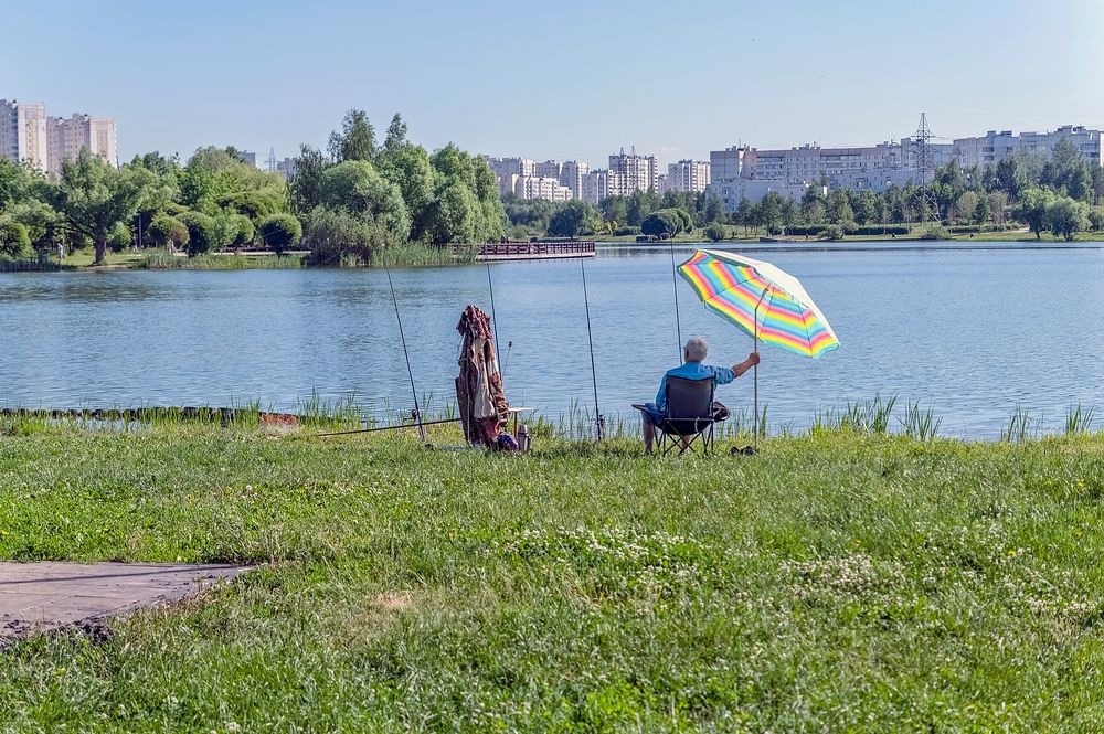 На городском пруду