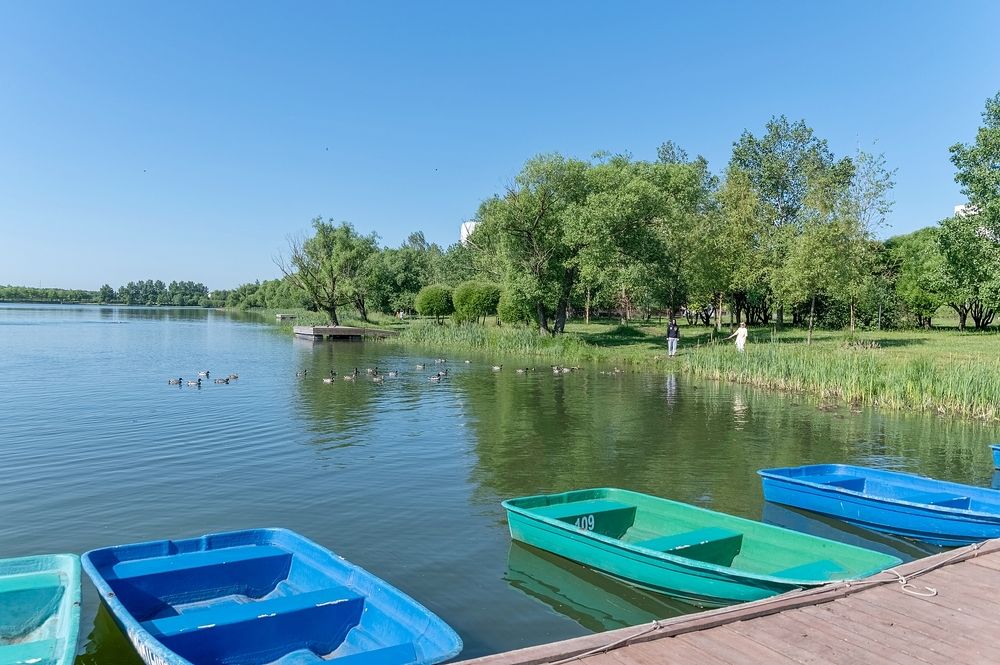 На городском пруду