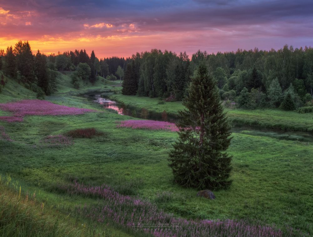 ... в серединке лета ...