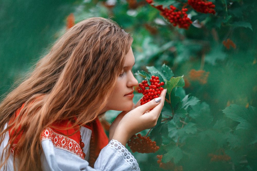 Валдайка