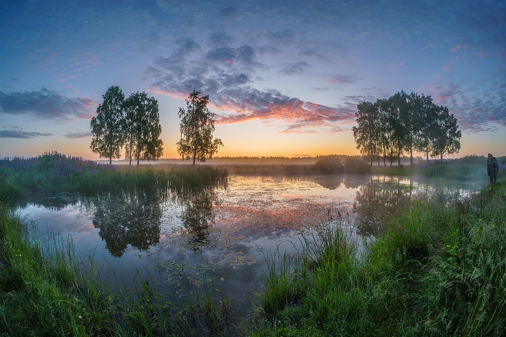 Photo 2649742
