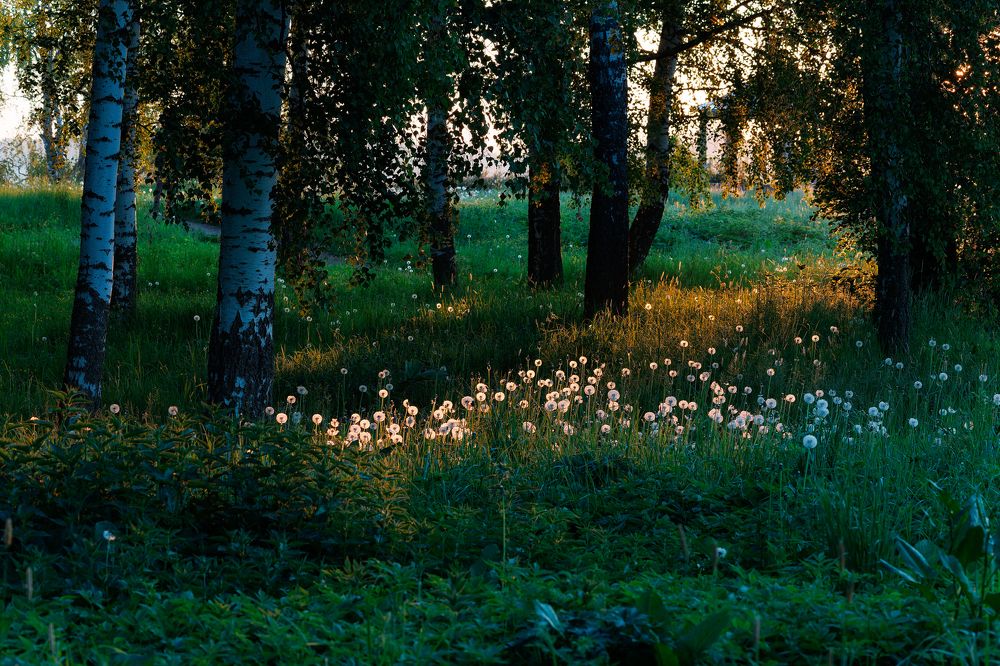 Photo 2649939