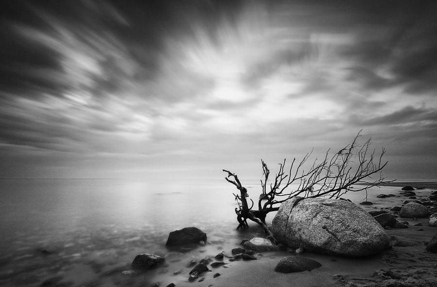 BW Baltic