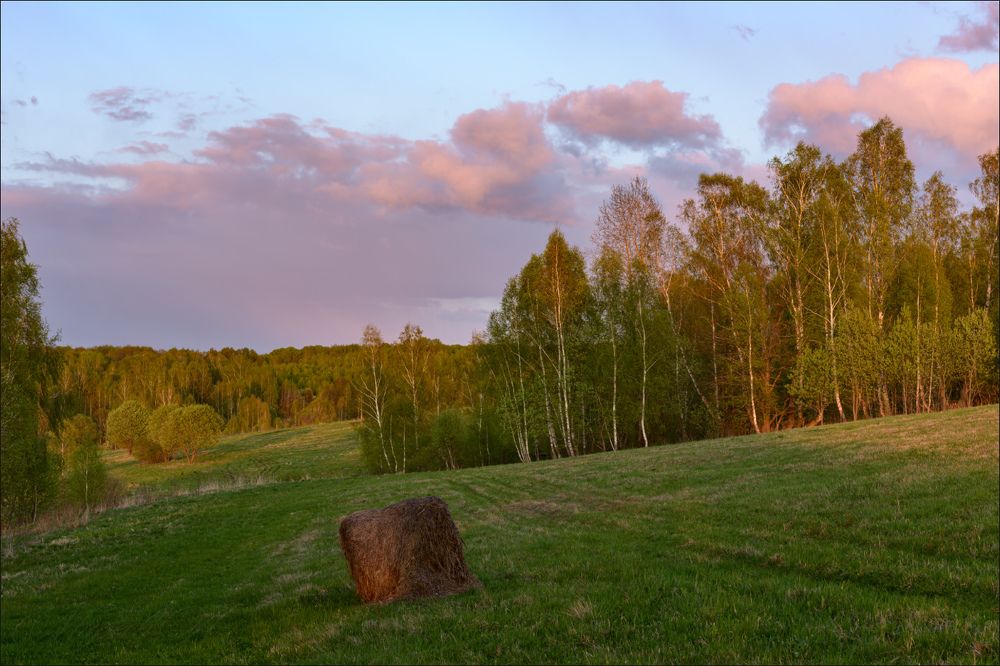 Последний лучик на ролике сена