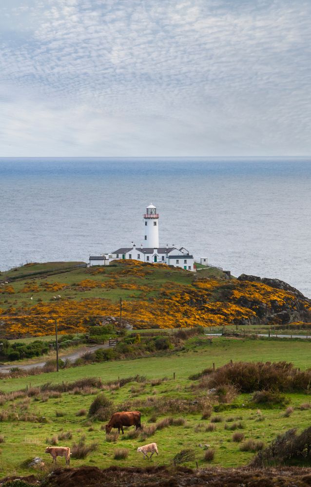 Fanad Head Lighthouse, Co. Donegal, Ireland