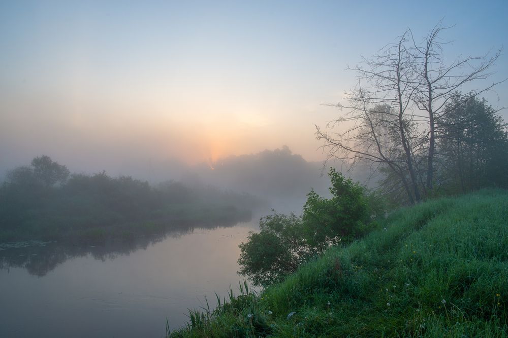 Photo 2651122