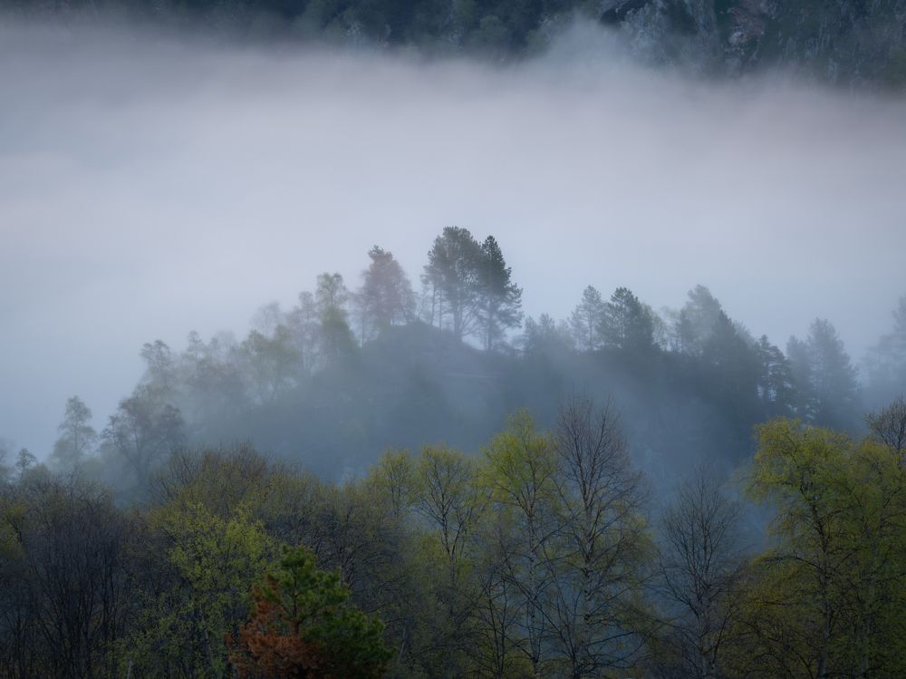 Photo 2651352