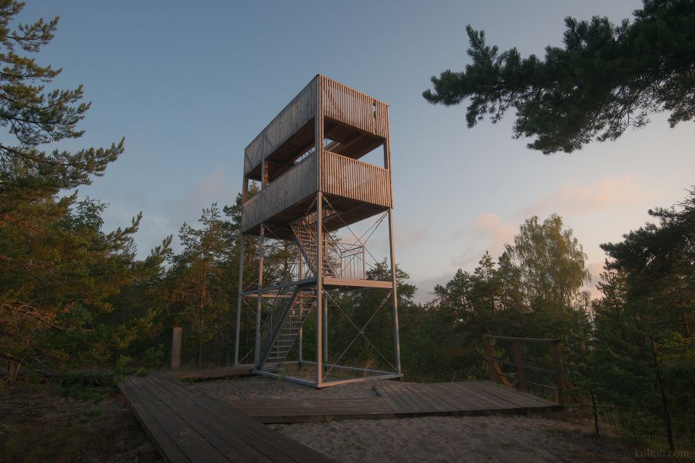 Кургальский заказник - I