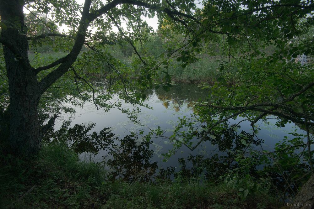 Кургальский заказник - II
