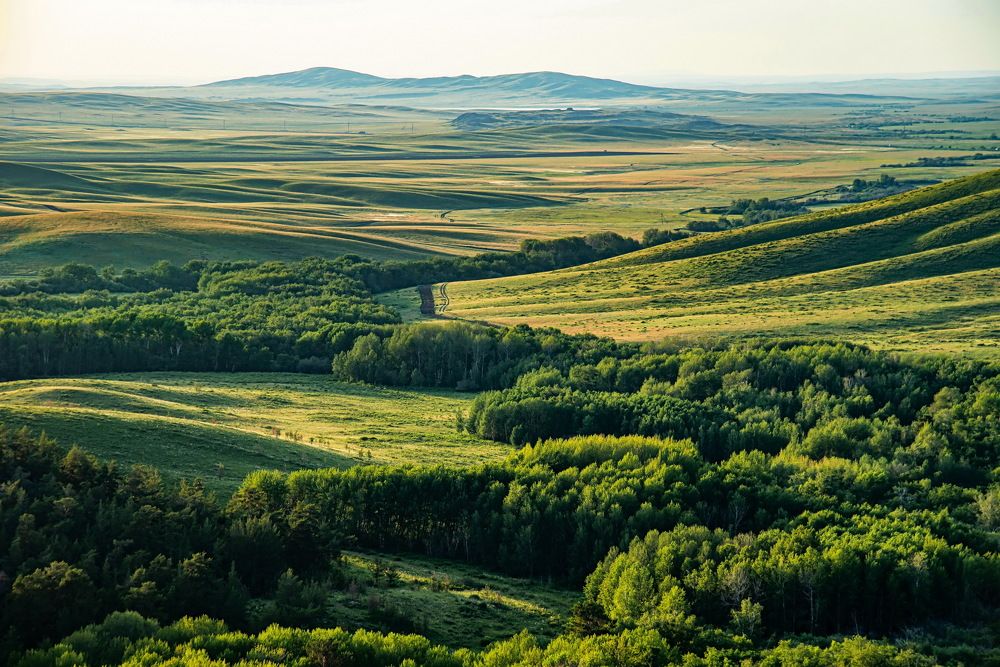 Каркаралинск