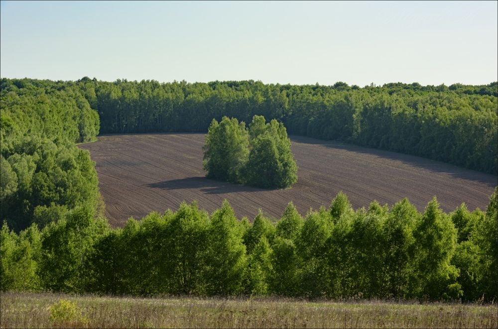 Май на дальнем поле