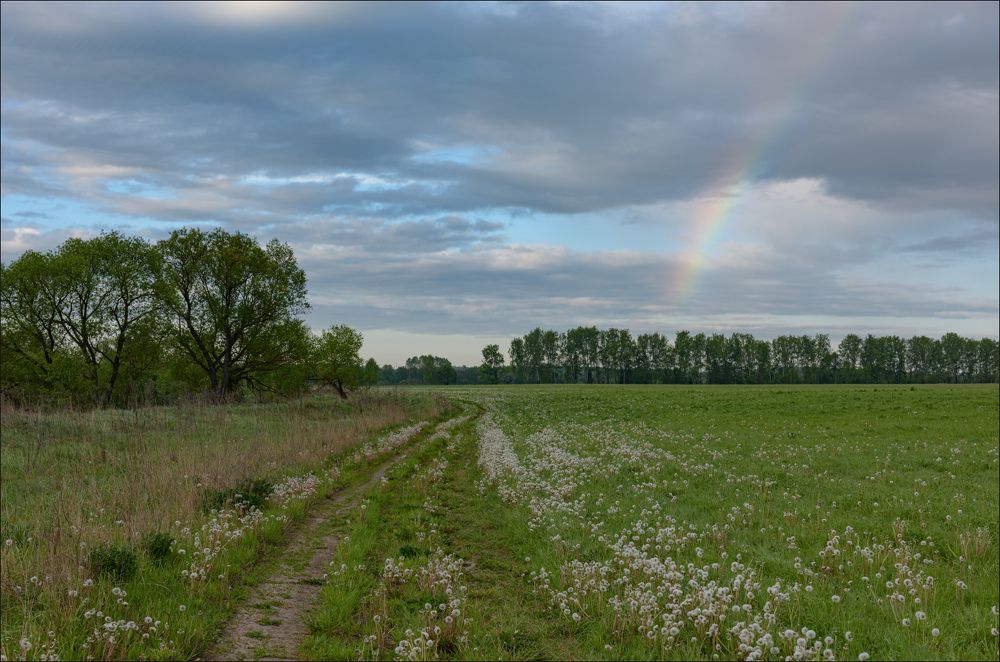Вдоль реки
