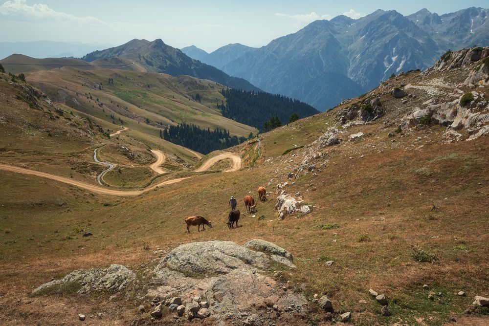 В горах Карадениза