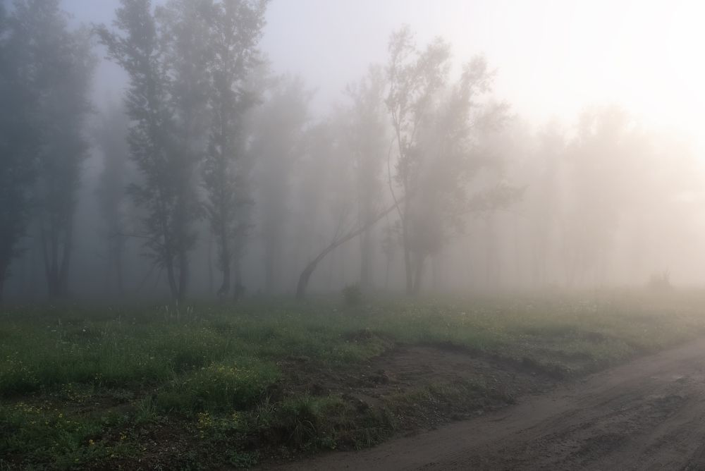 По туману