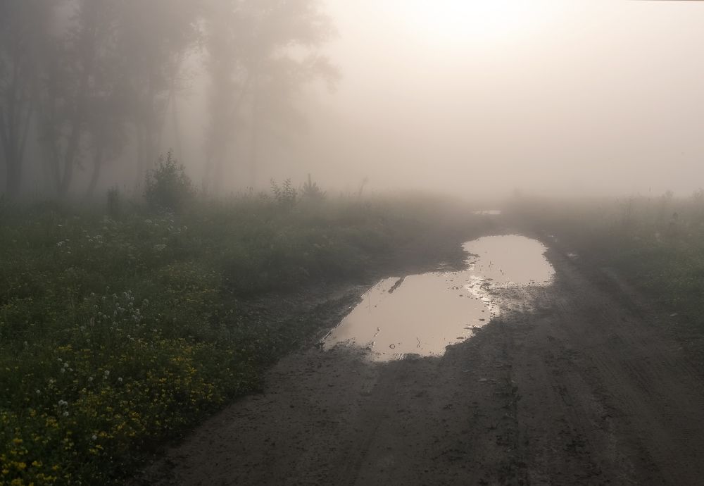 По туману