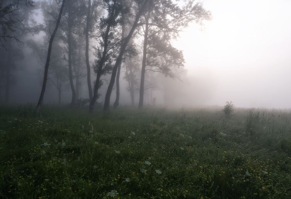 По туману