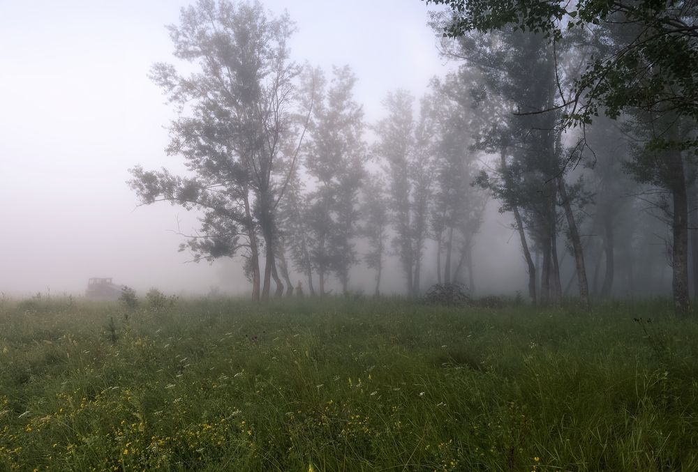 По туману