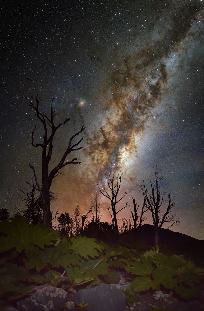 Southern Astrophotography Sky