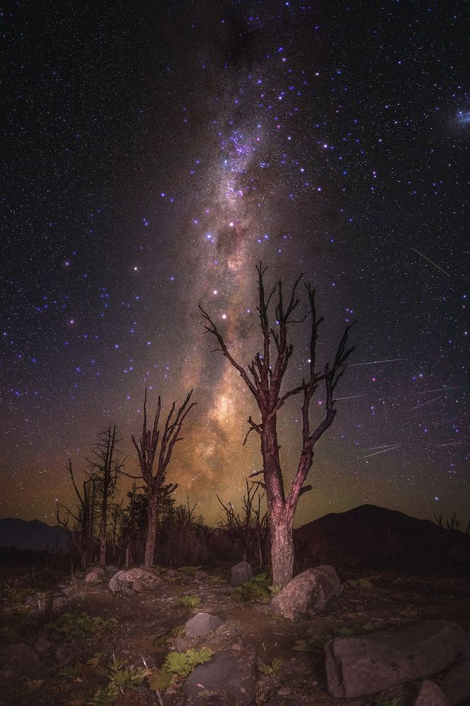 Southern Astrophotography Sky