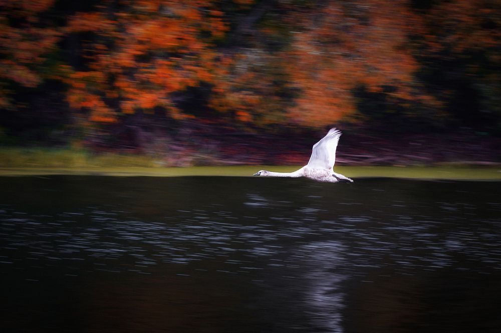 Photo 2656643