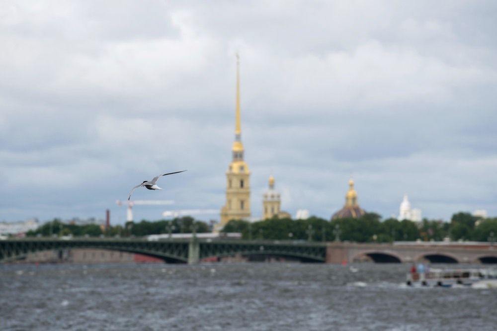 Санкт-Петербург, 06.2024г.