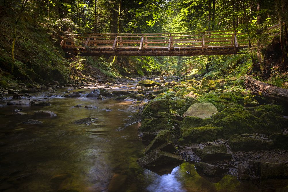 Bieszczady National Park - Poland