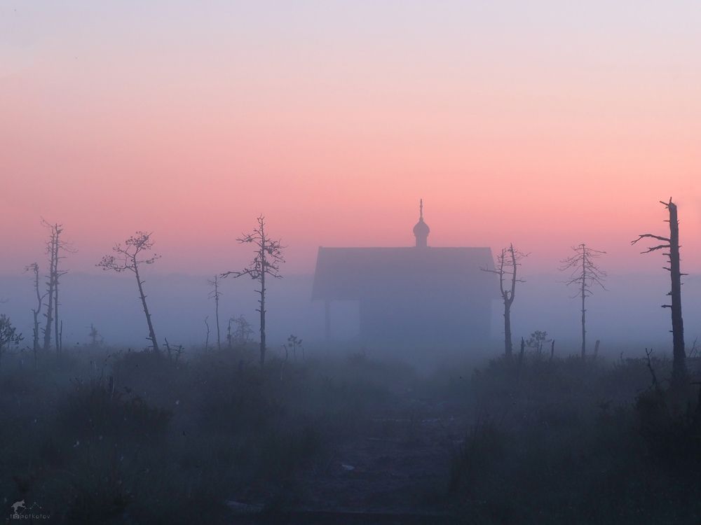 В сердце болот