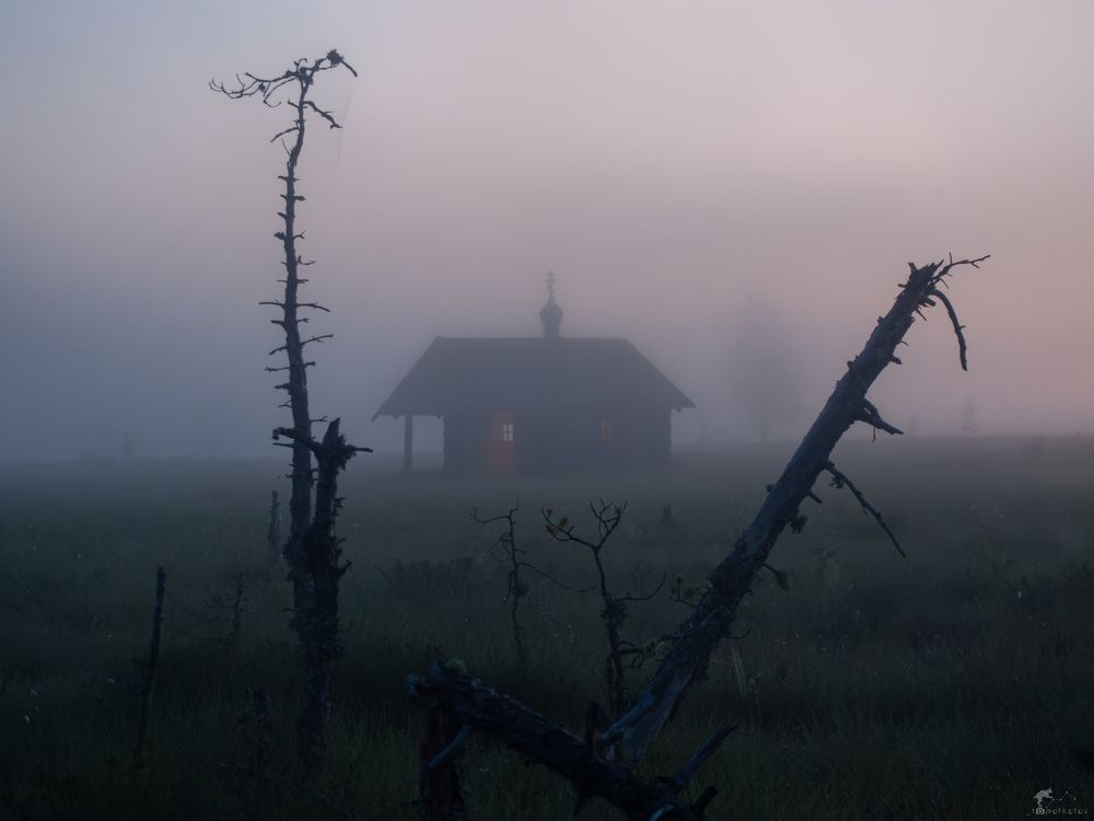 В сердце болот