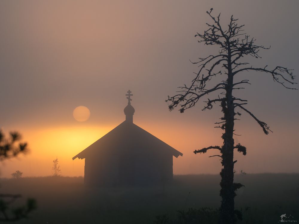 В сердце болот
