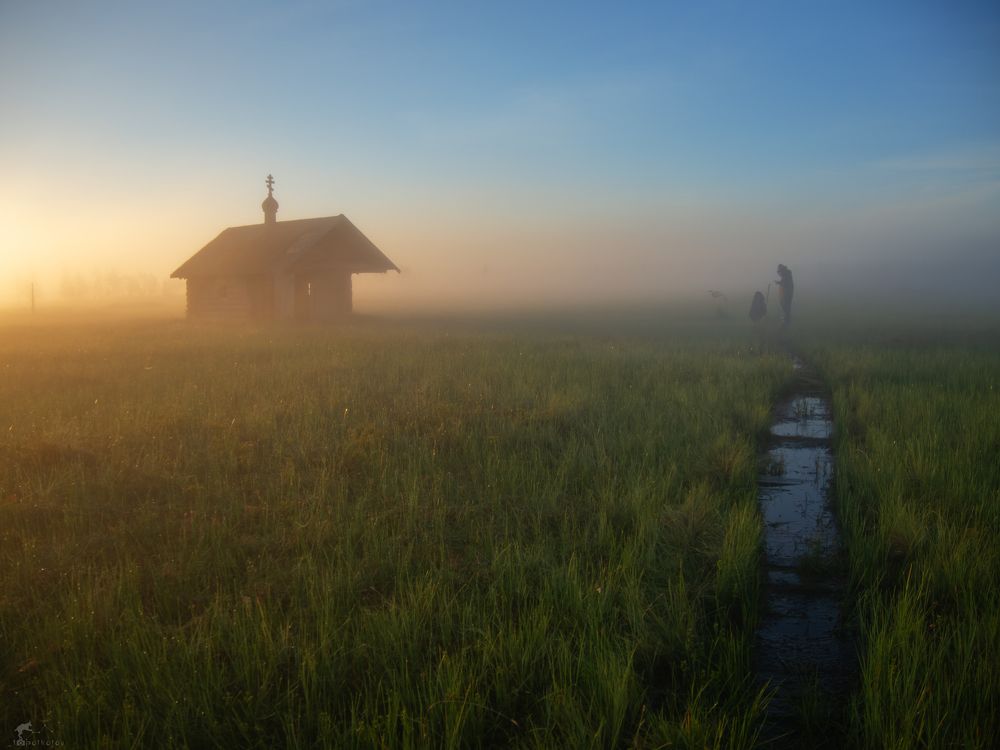 В сердце болот