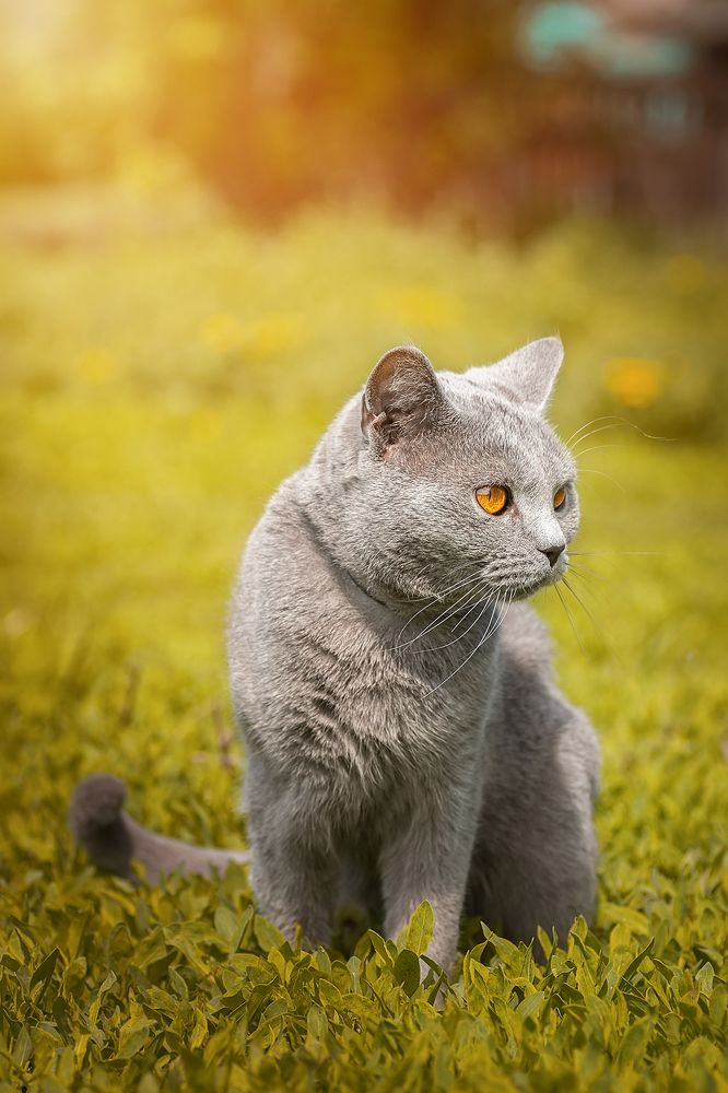 Photo 2657426