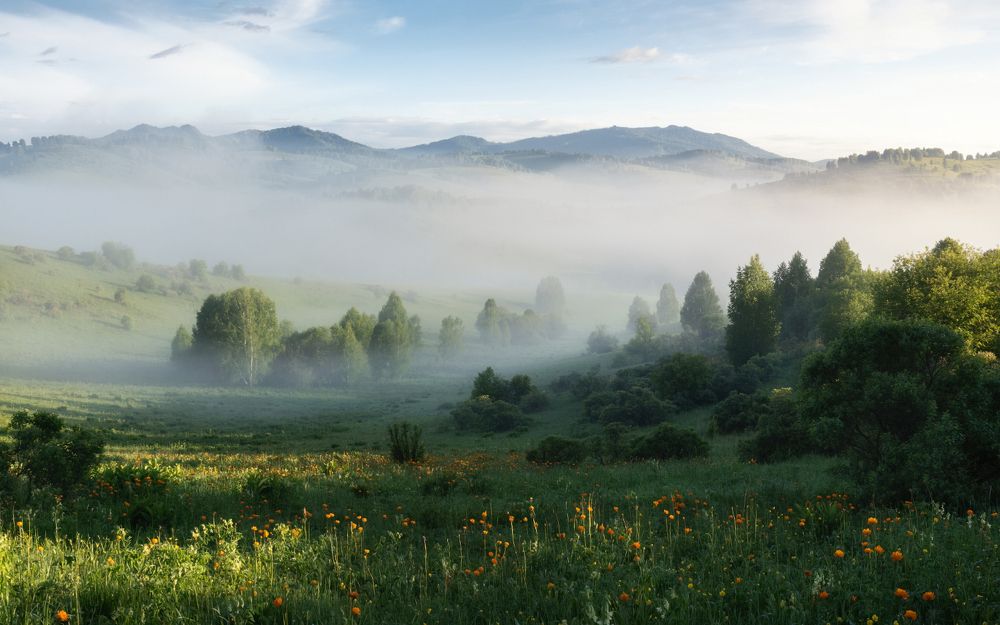 Первые туманы лета