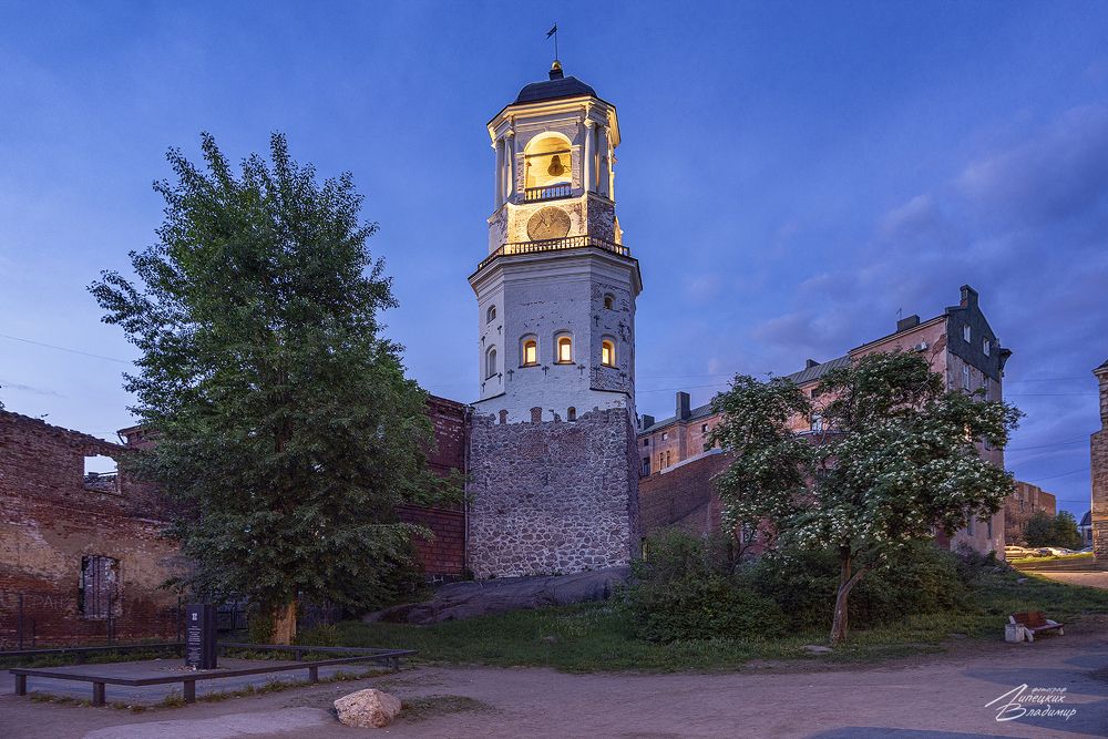 Вечерний Выборг, фото 6