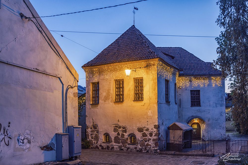 Вечерний Выборг, фото 9
