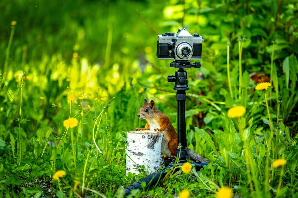 САЛОН "PRAKTICA" Фото на документы, ремонт фотоаппаратов