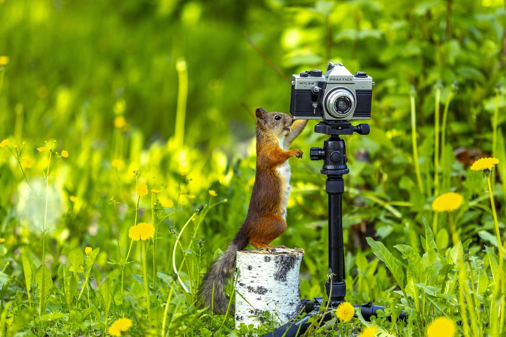 САЛОН "PRAKTICA" Фото на документы, ремонт фотоаппаратов