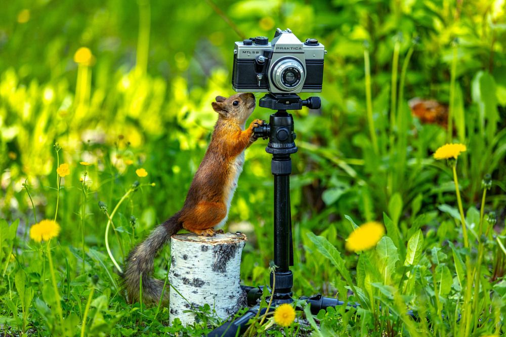 САЛОН "PRAKTICA" Фото на документы, ремонт фотоаппаратов