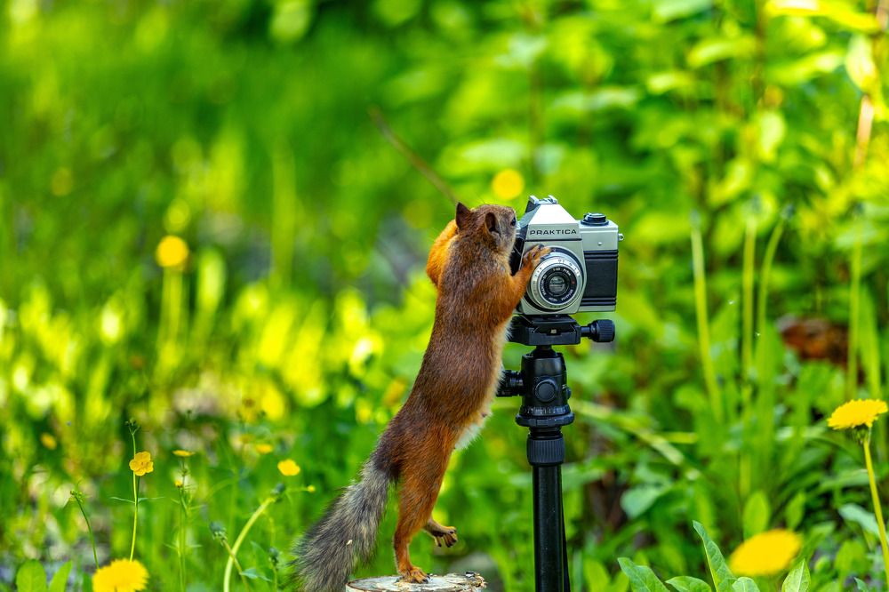 САЛОН "PRAKTICA" Фото на документы, ремонт фотоаппаратов