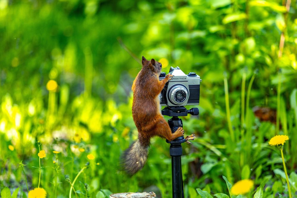 САЛОН "PRAKTICA" Фото на документы, ремонт фотоаппаратов