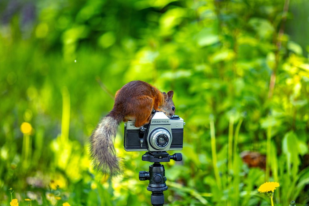 САЛОН "PRAKTICA" Фото на документы, ремонт фотоаппаратов
