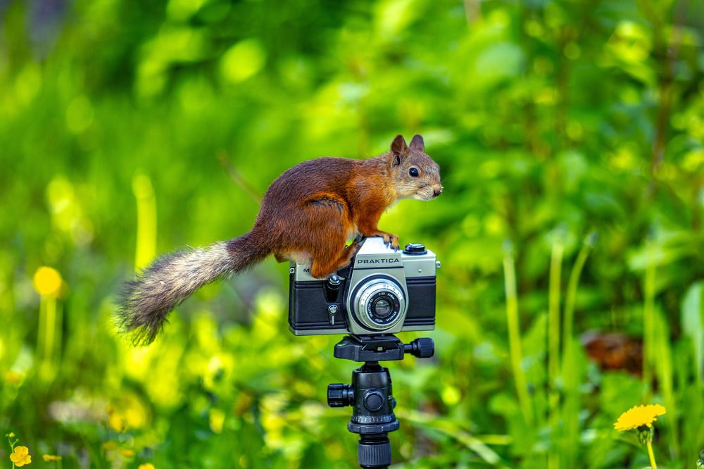 САЛОН "PRAKTICA" Фото на документы, ремонт фотоаппаратов