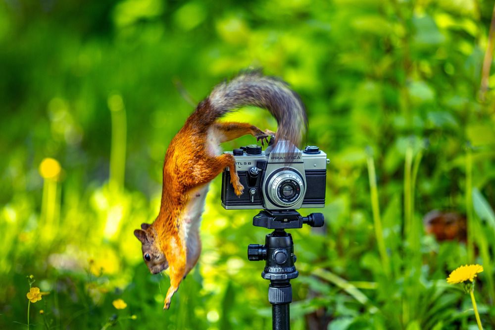САЛОН "PRAKTICA" Фото на документы, ремонт фотоаппаратов