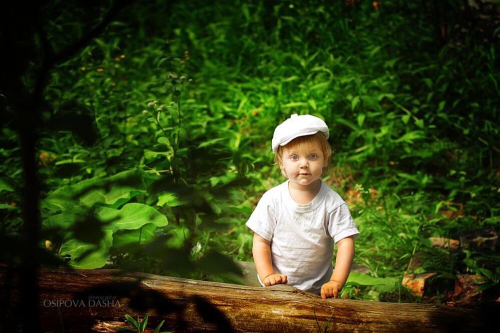 Photo 266398