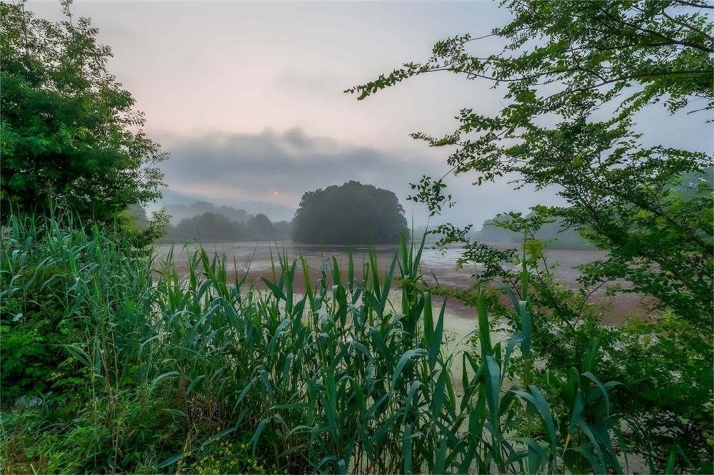 Photo 2660668