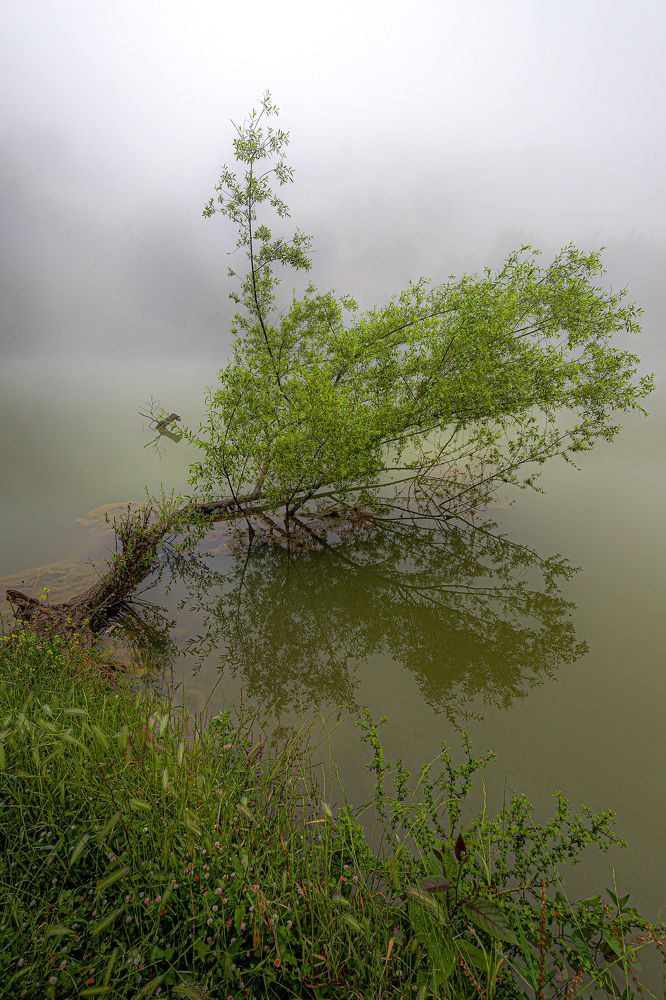 Photo 2660674