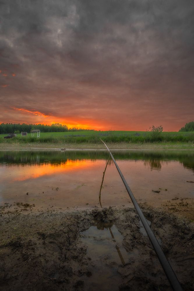 Photo 2661090