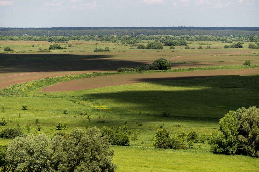 Июнь в деревне.