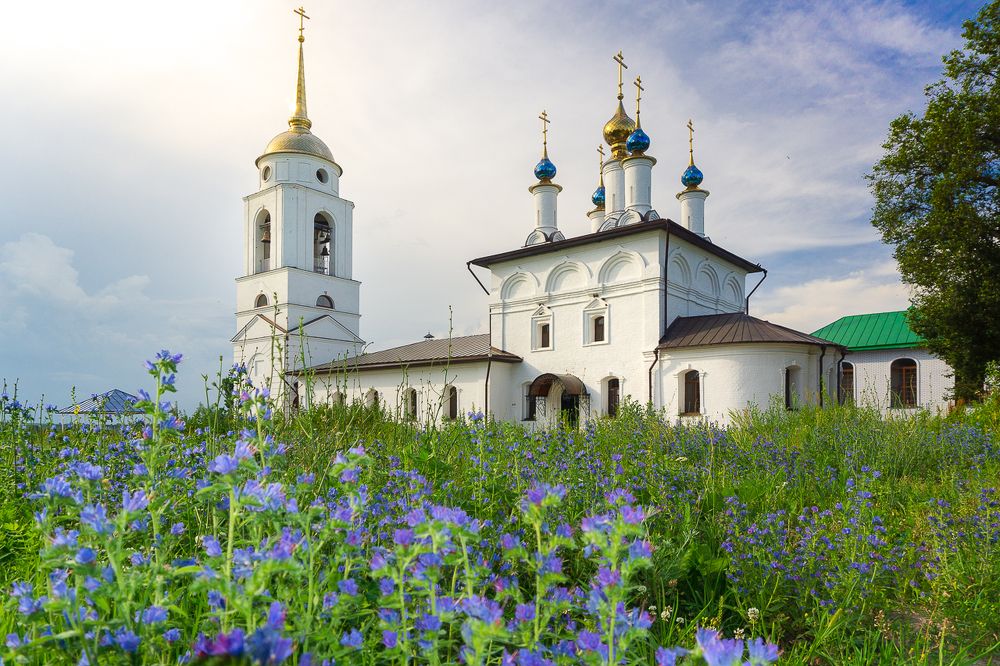Свято-Покровский Добринский мужской монастырь. Тульская область.