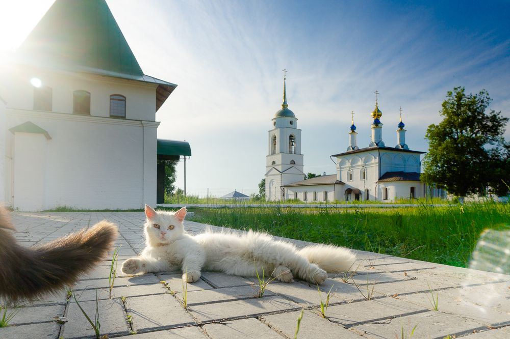 Свято-Покровский Добринский мужской монастырь. Тульская область.