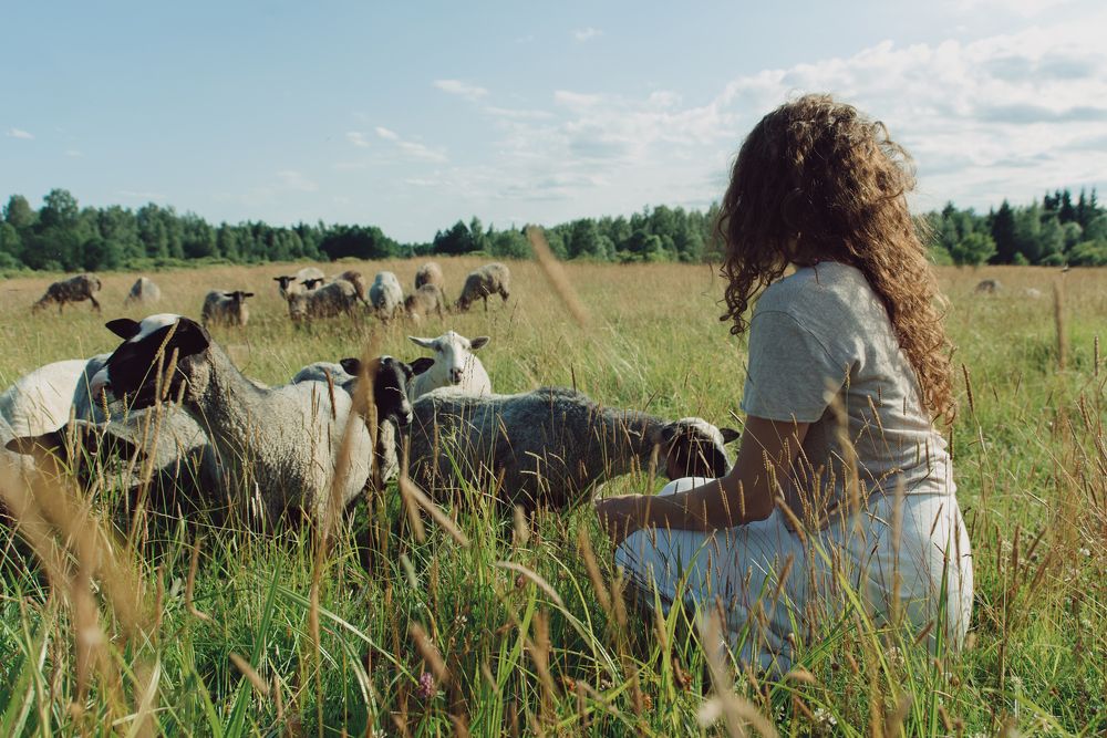 Summer days in the countryside